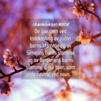 Picture 04 - 1 Krønikebok 6:65 NORSK - De gav dem ved loddkasting av Judas barns stamme - Bible Verse Picture