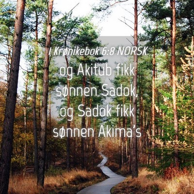 Picture 04 - 1 Krønikebok 6:8 NORSK - og Akitub fikk sønnen Sadok, og Sadok fikk - Bible Verse Picture