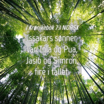 Picture 04 - 1 Krønikebok 7:1 NORSK - Issakars sønner var Tola og Pua, Jasib og - Bible Verse Picture