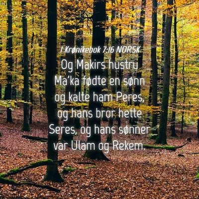 Picture 04 - 1 Krønikebok 7:16 NORSK - Og Makirs hustru Ma'ka fødte en sønn og kalte - Bible Verse Picture