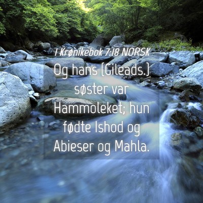 Picture 04 - 1 Krønikebok 7:18 NORSK - Og hans {Gileads.} søster var Hammoleket; hun - Bible Verse Picture