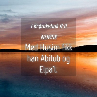 Picture 04 - 1 Krønikebok 8:11 NORSK - Med Husim fikk han Abitub og - Bible Verse Picture