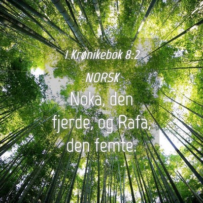 Picture 04 - 1 Krønikebok 8:2 NORSK - Noka, den fjerde, og Rafa, den - Bible Verse Picture