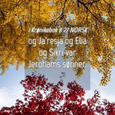 Picture 04 - 1 Krønikebok 8:27 NORSK - og Ja'resja og Elia og Sikri var Jerohams - Bible Verse Picture