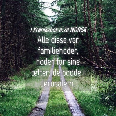 Picture 04 - 1 Krønikebok 8:28 NORSK - Alle disse var familiehoder, hoder for sine - Bible Verse Picture