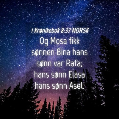Picture 04 - 1 Krønikebok 8:37 NORSK - Og Mosa fikk sønnen Bina hans sønn var Rafa; - Bible Verse Picture