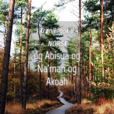 Picture 04 - 1 Krønikebok 8:4 NORSK - og Abisua og Na'man og - Bible Verse Picture