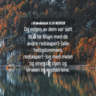 Picture 04 - 1 Krønikebok 9:29 NORSK - Og nogen av dem var satt til å ha tilsyn med de - Bible Verse Picture