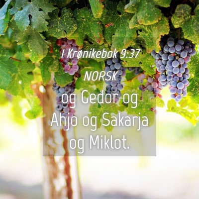 Picture 04 - 1 Krønikebok 9:37 NORSK - og Gedor og Ahjo og Sakarja og - Bible Verse Picture