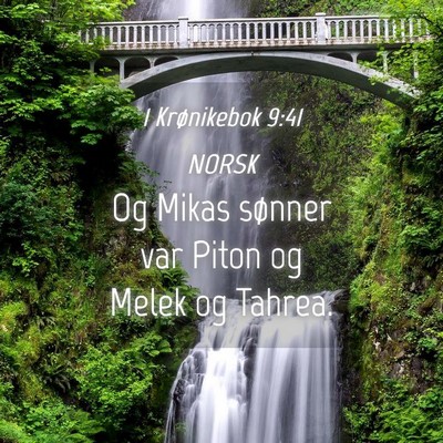 Picture 04 - 1 Krønikebok 9:41 NORSK - Og Mikas sønner var Piton og Melek og - Bible Verse Picture