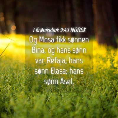 Picture 04 - 1 Krønikebok 9:43 NORSK - Og Mosa fikk sønnen Bina, og hans sønn var - Bible Verse Picture