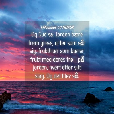 Picture 04 - 1 Mosebok 1:11 NORSK - Og Gud sa: Jorden bære frem gress, urter som - Bible Verse Picture