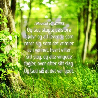Picture 04 - 1 Mosebok 1:21 NORSK - Og Gud skapte de store sjødyr og alt levende som - Bible Verse Picture