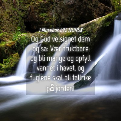 Picture 04 - 1 Mosebok 1:22 NORSK - Og Gud velsignet dem og sa: Vær fruktbare og bli - Bible Verse Picture