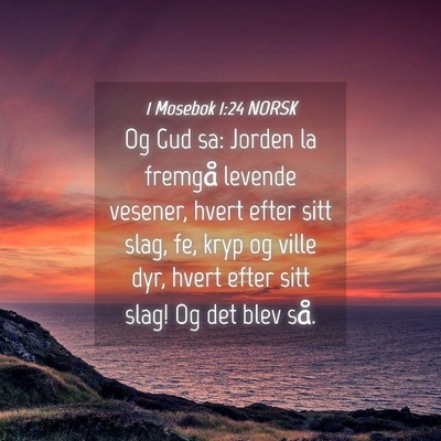 Picture 04 - 1 Mosebok 1:24 NORSK - Og Gud sa: Jorden la fremgå levende vesener, - Bible Verse Picture
