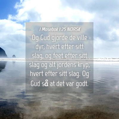 Picture 04 - 1 Mosebok 1:25 NORSK - Og Gud gjorde de ville dyr, hvert efter sitt - Bible Verse Picture