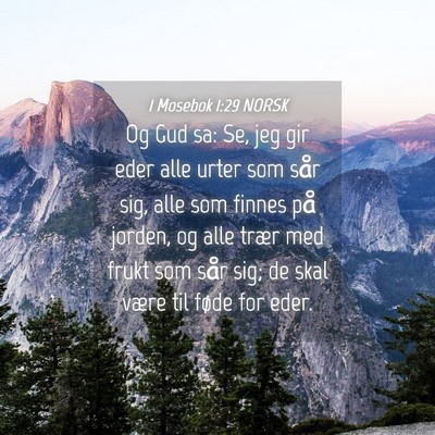 Picture 04 - 1 Mosebok 1:29 NORSK - Og Gud sa: Se, jeg gir eder alle urter som sår - Bible Verse Picture