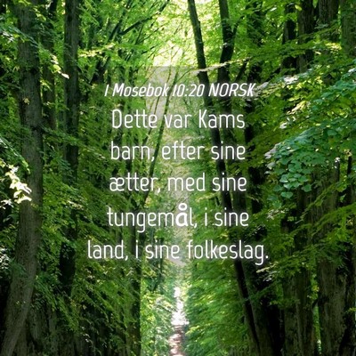 Picture 04 - 1 Mosebok 10:20 NORSK - Dette var Kams barn, efter sine ætter, med sine - Bible Verse Picture