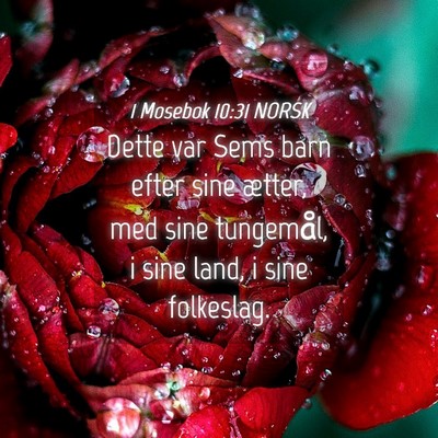 Picture 04 - 1 Mosebok 10:31 NORSK - Dette var Sems barn efter sine ætter, med sine - Bible Verse Picture
