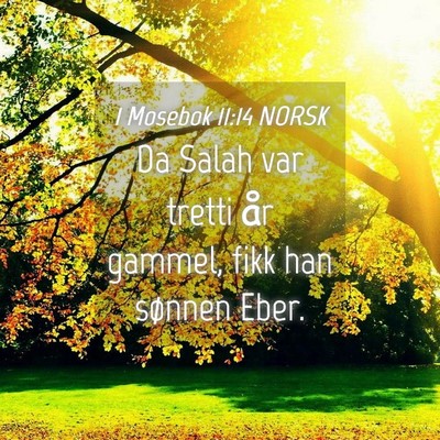 Picture 04 - 1 Mosebok 11:14 NORSK - Da Salah var tretti år gammel, fikk han sønnen - Bible Verse Picture