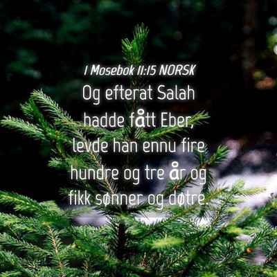 Picture 04 - 1 Mosebok 11:15 NORSK - Og efterat Salah hadde fått Eber, levde han ennu - Bible Verse Picture