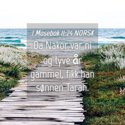 Picture 04 - 1 Mosebok 11:24 NORSK - Da Nakor var ni og tyve år gammel, fikk han - Bible Verse Picture