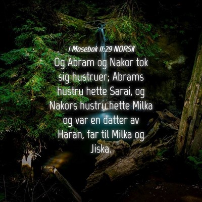 Picture 04 - 1 Mosebok 11:29 NORSK - Og Abram og Nakor tok sig hustruer; Abrams hustru - Bible Verse Picture