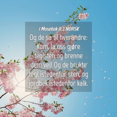 Picture 04 - 1 Mosebok 11:3 NORSK - Og de sa til hverandre: Kom, la oss gjøre - Bible Verse Picture