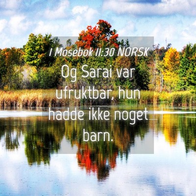 Picture 04 - 1 Mosebok 11:30 NORSK - Og Sarai var ufruktbar, hun hadde ikke noget - Bible Verse Picture