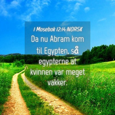 Picture 04 - 1 Mosebok 12:14 NORSK - Da nu Abram kom til Egypten, så egypterne at - Bible Verse Picture