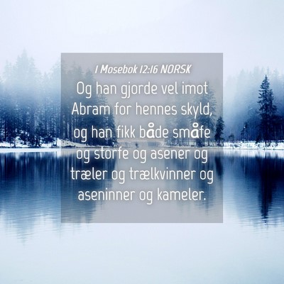 Picture 04 - 1 Mosebok 12:16 NORSK - Og han gjorde vel imot Abram for hennes skyld, og - Bible Verse Picture