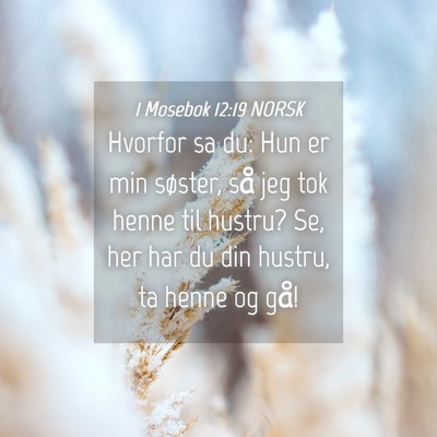 Picture 04 - 1 Mosebok 12:19 NORSK - Hvorfor sa du: Hun er min søster, så jeg tok - Bible Verse Picture