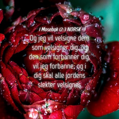 Picture 04 - 1 Mosebok 12:3 NORSK - Og jeg vil velsigne dem som velsigner dig, og den - Bible Verse Picture