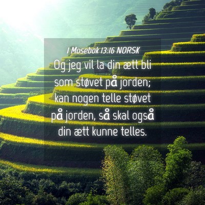 Picture 04 - 1 Mosebok 13:16 NORSK - Og jeg vil la din ætt bli som støvet på - Bible Verse Picture