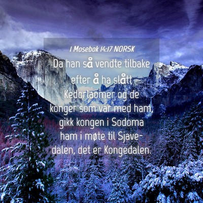 Picture 04 - 1 Mosebok 14:17 NORSK - Da han så vendte tilbake efter å ha slått - Bible Verse Picture