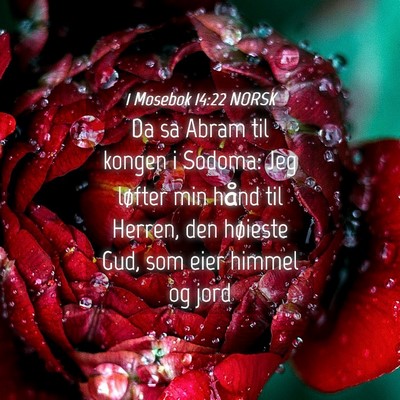 Picture 04 - 1 Mosebok 14:22 NORSK - Da sa Abram til kongen i Sodoma: Jeg løfter min - Bible Verse Picture