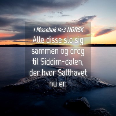 Picture 04 - 1 Mosebok 14:3 NORSK - Alle disse slo sig sammen og drog til - Bible Verse Picture