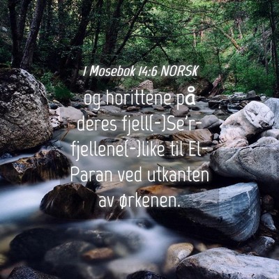 Picture 04 - 1 Mosebok 14:6 NORSK - og horittene på deres - Bible Verse Picture