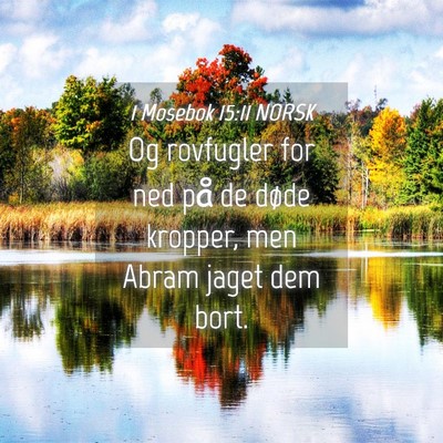 Picture 04 - 1 Mosebok 15:11 NORSK - Og rovfugler for ned på de døde kropper, men - Bible Verse Picture