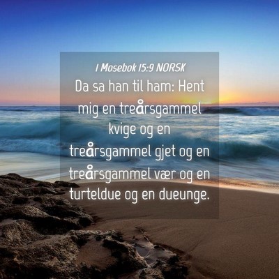 Picture 04 - 1 Mosebok 15:9 NORSK - Da sa han til ham: Hent mig en treårsgammel - Bible Verse Picture