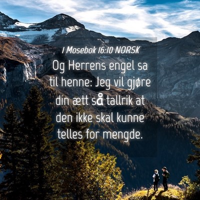 Picture 04 - 1 Mosebok 16:10 NORSK - Og Herrens engel sa til henne: Jeg vil gjøre din - Bible Verse Picture