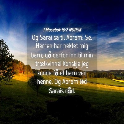 Picture 04 - 1 Mosebok 16:2 NORSK - Og Sarai sa til Abram: Se, Herren har nektet mig - Bible Verse Picture