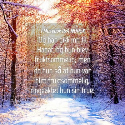 Picture 04 - 1 Mosebok 16:4 NORSK - Og han gikk inn til Hagar, og hun blev - Bible Verse Picture