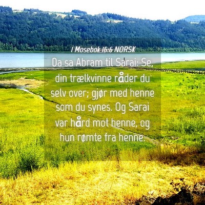 Picture 04 - 1 Mosebok 16:6 NORSK - Da sa Abram til Sarai: Se, din trælkvinne råder - Bible Verse Picture