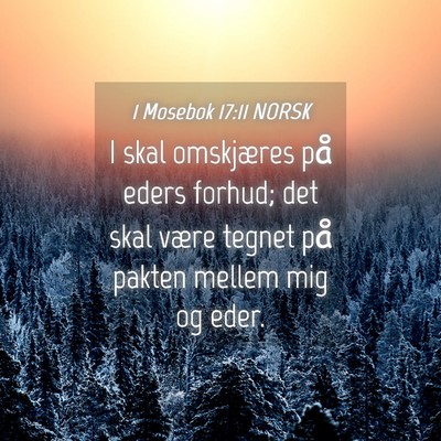 Picture 04 - 1 Mosebok 17:11 NORSK - I skal omskjæres på eders forhud; det skal - Bible Verse Picture