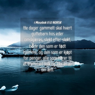 Picture 04 - 1 Mosebok 17:12 NORSK - tte dager gammelt skal hvert guttebarn hos eder - Bible Verse Picture