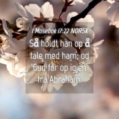 Picture 04 - 1 Mosebok 17:22 NORSK - Så holdt han op å tale med ham; og Gud for op - Bible Verse Picture