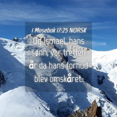 Picture 04 - 1 Mosebok 17:25 NORSK - Og Ismael, hans sønn, var tretten år da hans - Bible Verse Picture