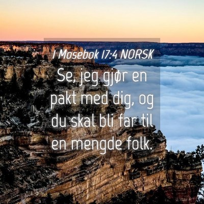Picture 04 - 1 Mosebok 17:4 NORSK - Se, jeg gjør en pakt med dig, og du skal bli far - Bible Verse Picture