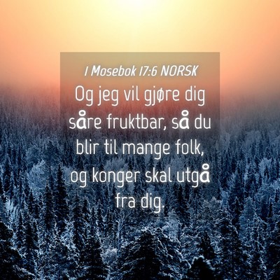 Picture 04 - 1 Mosebok 17:6 NORSK - Og jeg vil gjøre dig såre fruktbar, så du blir - Bible Verse Picture